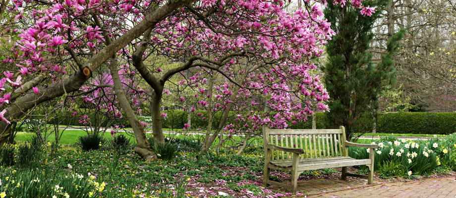 De grote voordelen van planten in het najaar