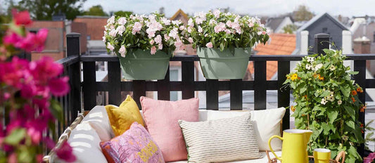 De mooiste planten voor op jouw balkon