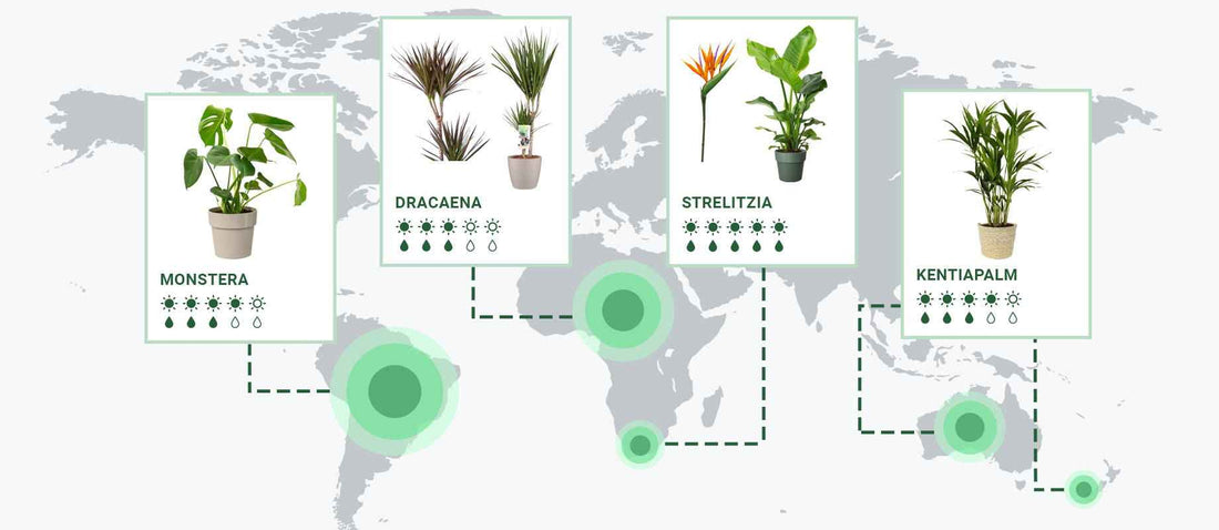 De wereld rond aan de hand van jouw planten