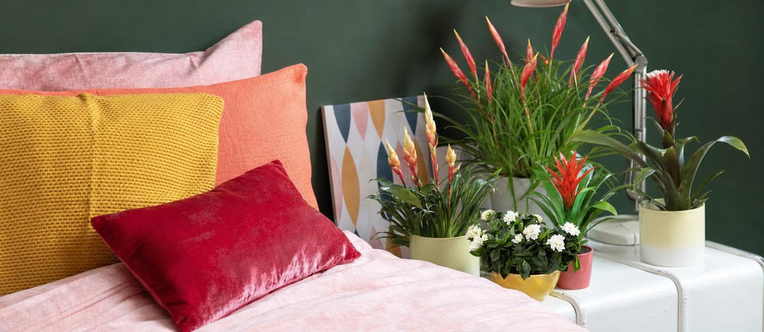 Welke planten passen bij welke interieur stijl?