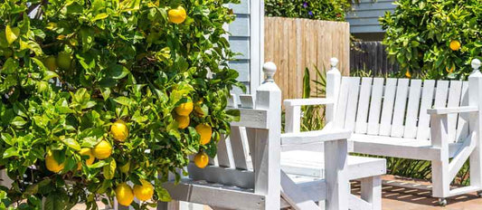 7 makkelijke tips voor het creëren van een mediterrane tuin, terras of balkon