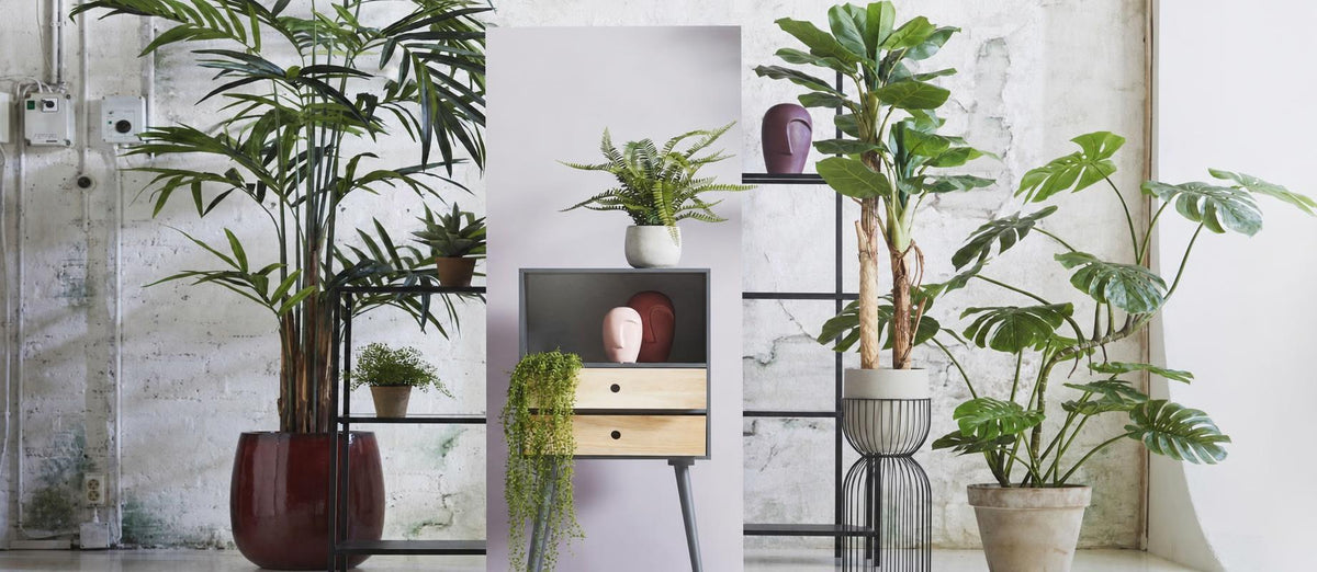 Kunstplanten: voor iedereen met iets minder groene vingers