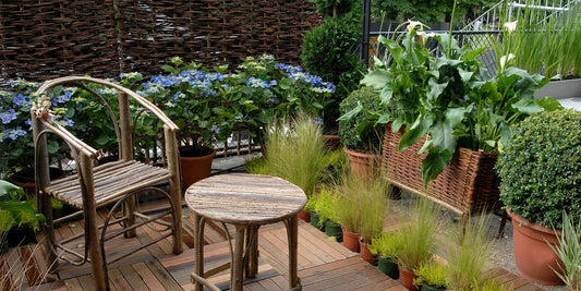 Perfecte planten voor schaduwrijke terrassen