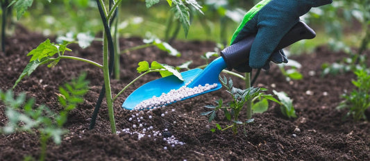 Alles over het bemesten van jouw tuin