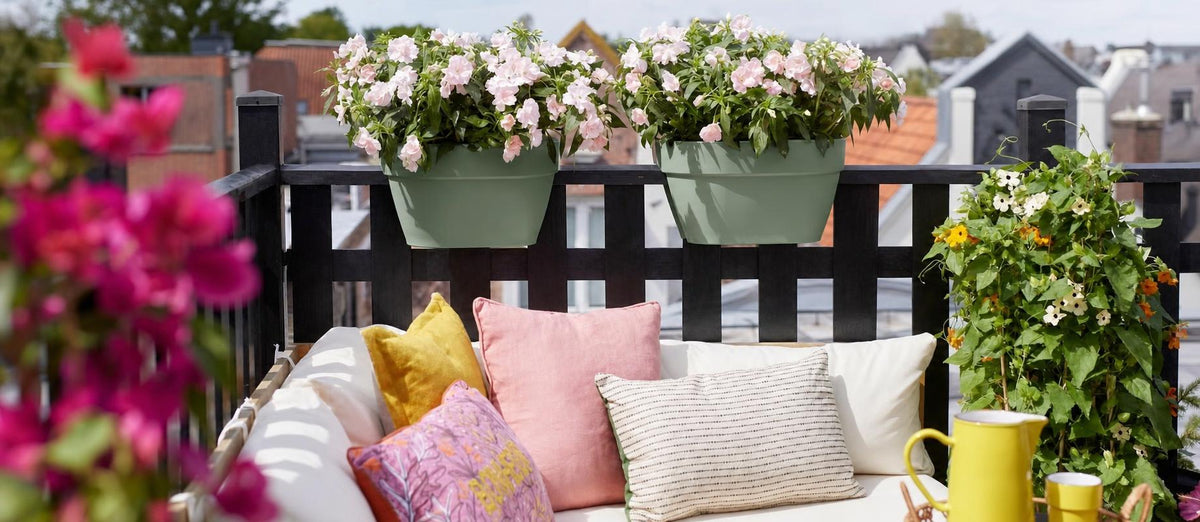 De mooiste planten voor op jouw balkon