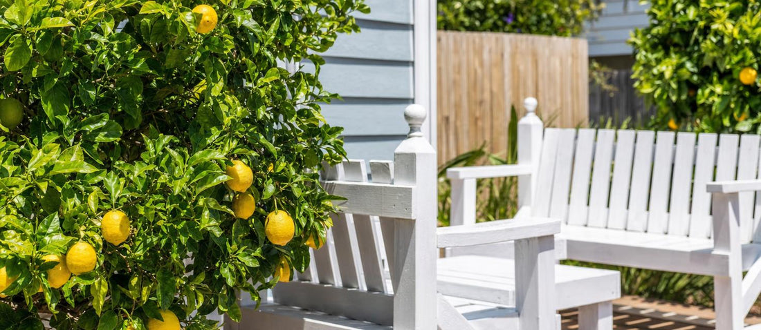 7 makkelijke tips voor het creëren van een mediterrane tuin, terras of balkon