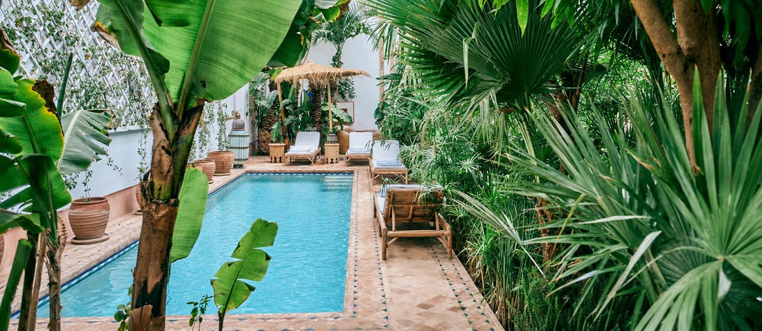 Op vakantie in jouw tropische Bali tuin
