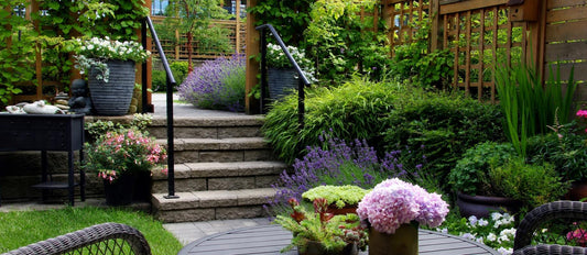 Top 10 snelgroeiende tuinplanten