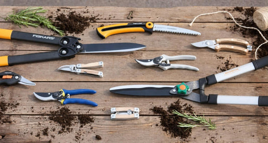 Snoeigereedschap en onderhoud