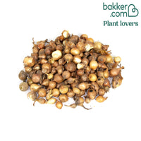 Gele ui 'Paille des Vertus'