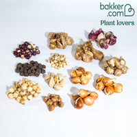 Bloembollenmix 'Voorjaarsbloeiers' (x200)