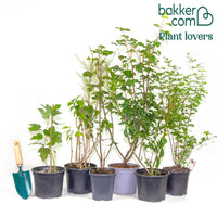 Vier jaargetijden haag - Mix