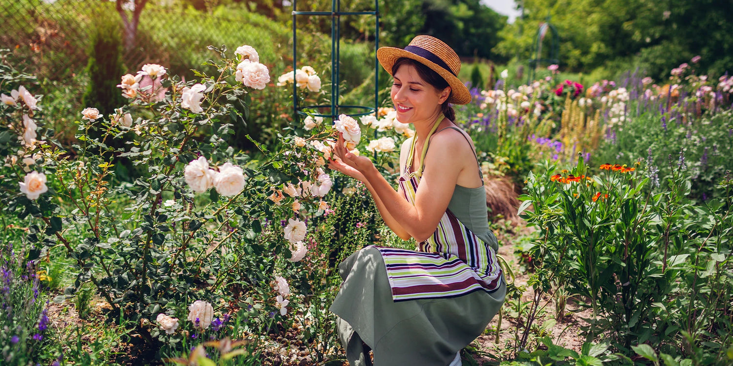 Een tuin vol betoverende geuren tot 30% korting!