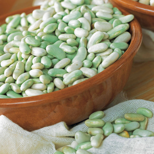 Droogboon 'Verdelys' - Bakker