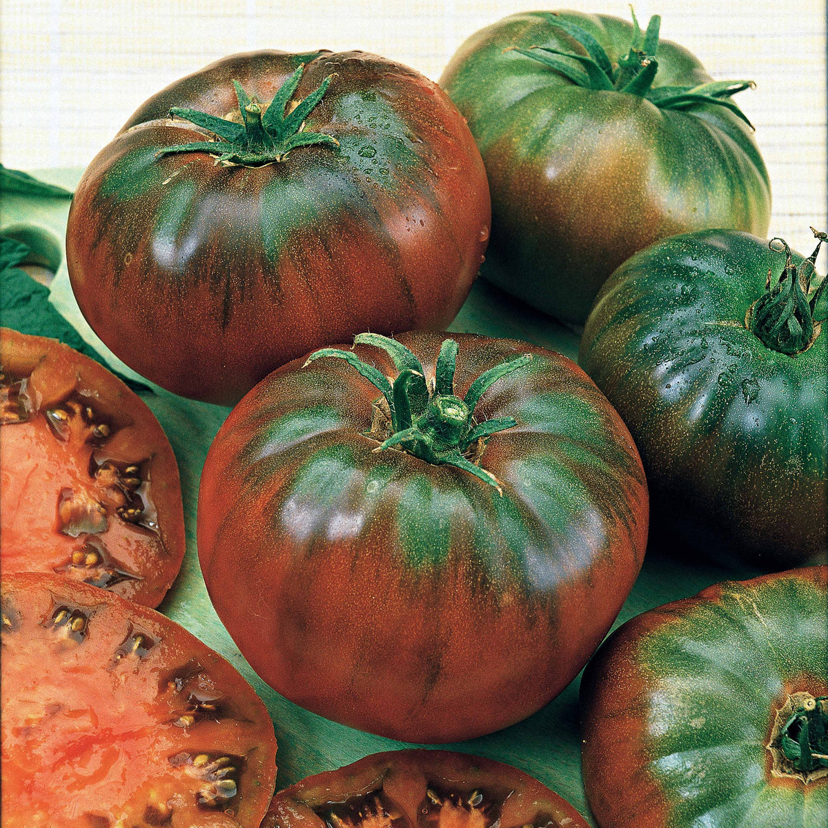 Tomatenzaden - Tomaat 'Black Russian' - Solanum lycopersicum noire russe