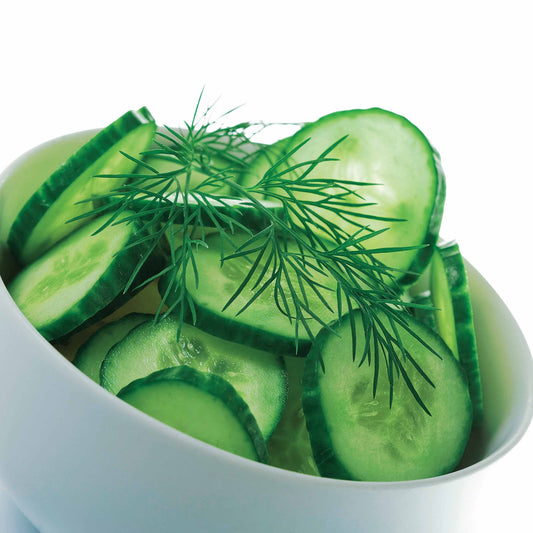 Komkommer 'Marketer' - Bakker