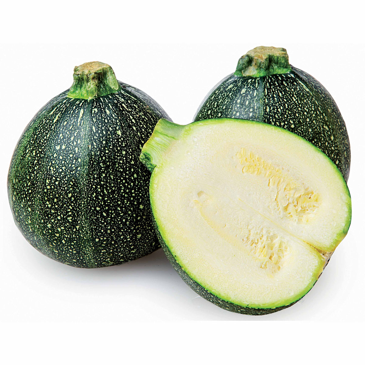 Cucurbita pepo de nice à fruits ronds - Ronde courgette - Courgettezaden