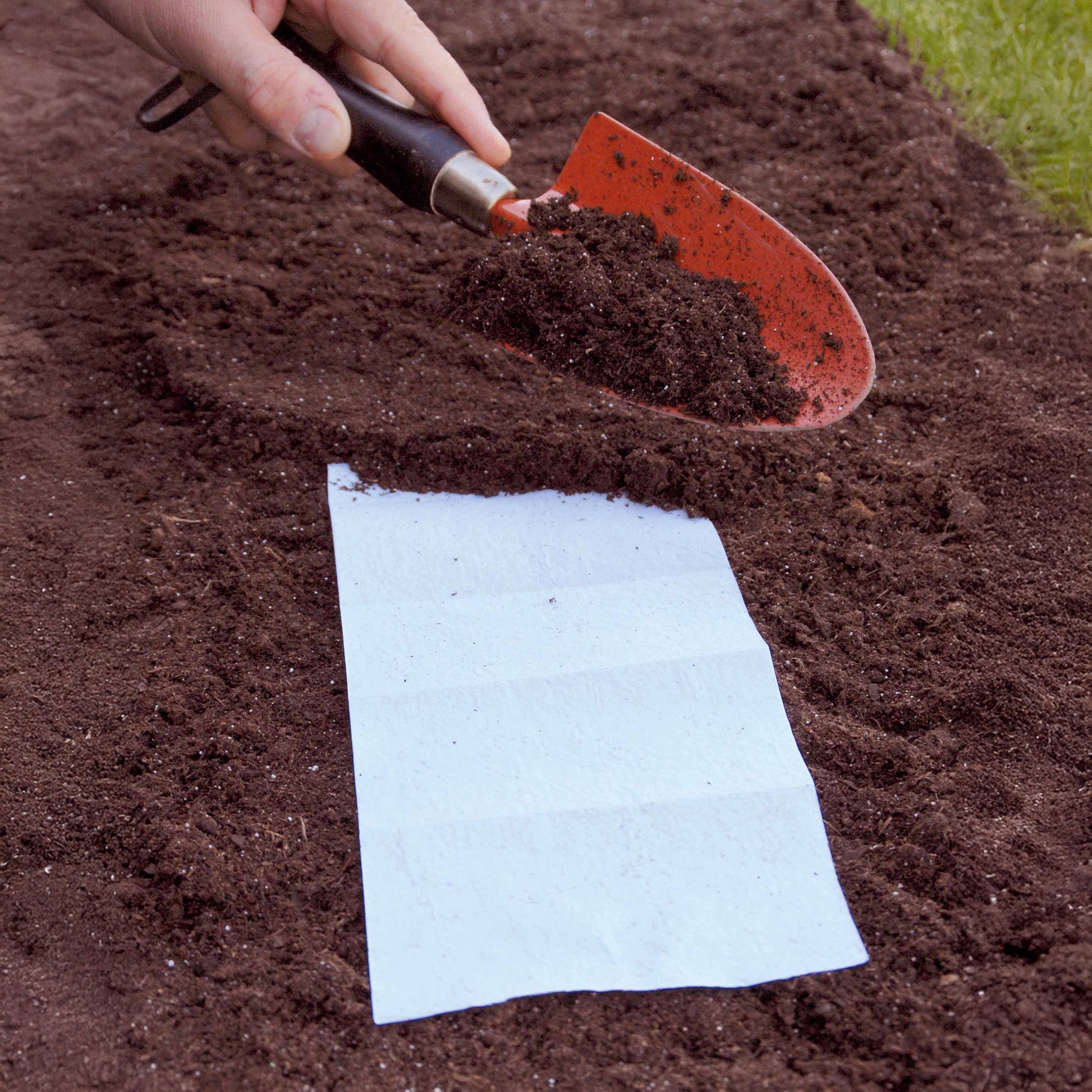 Zaailint en zaadmatten - Geurig bloementapijt Mix - 