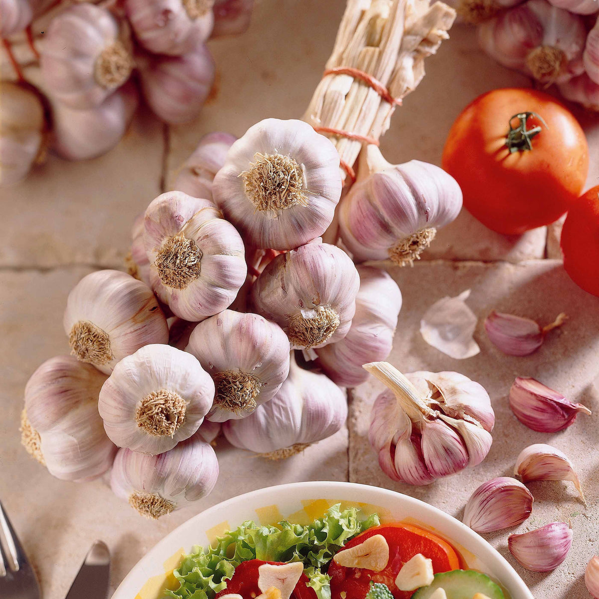 Paarse knoflook 'Germidour' - Bakker