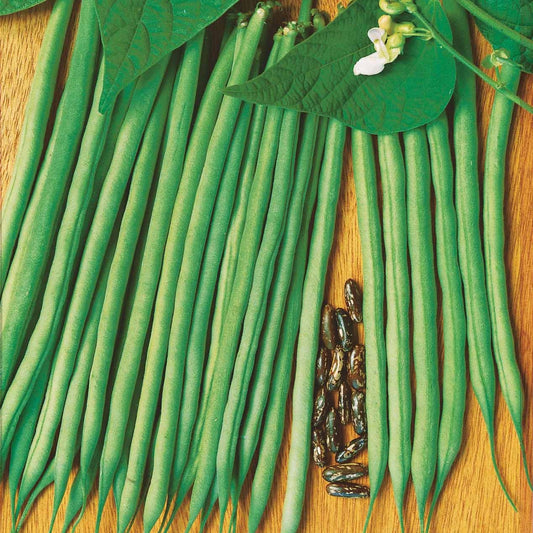 Sperzieboon 'Molière' - Bakker