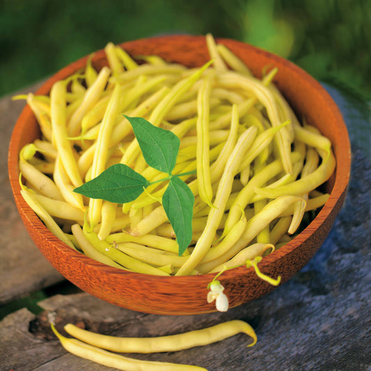 Boterboon 'Fructidor' - Bakker