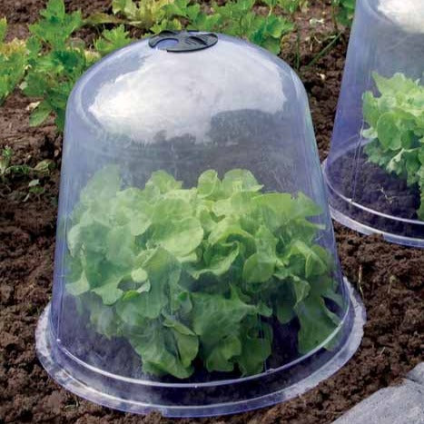 Set van 3 plantenstoplen -  - Bakker