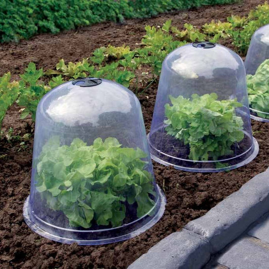 Set van 3 plantenstoplen - Bakker