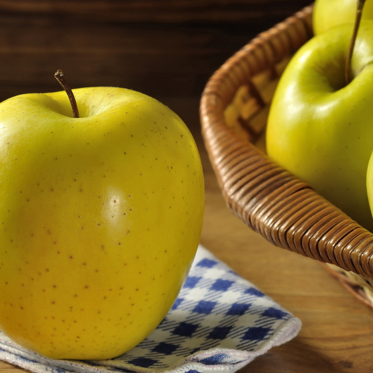 Appelboom 'Golden Yellow Star' - Malus domestica Golden Yellow Spur - Bakker