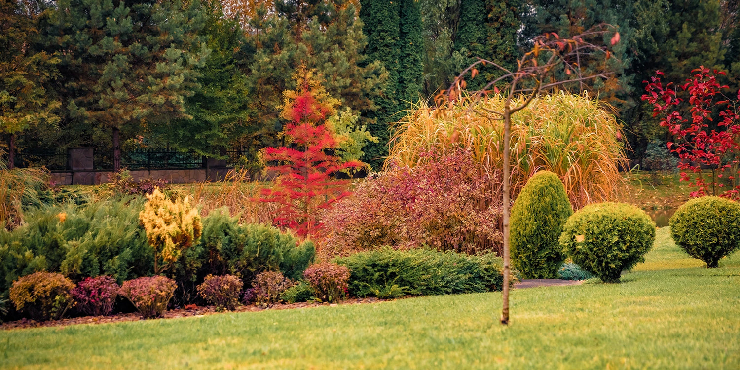 Herfstkleuren tot 30% korting!