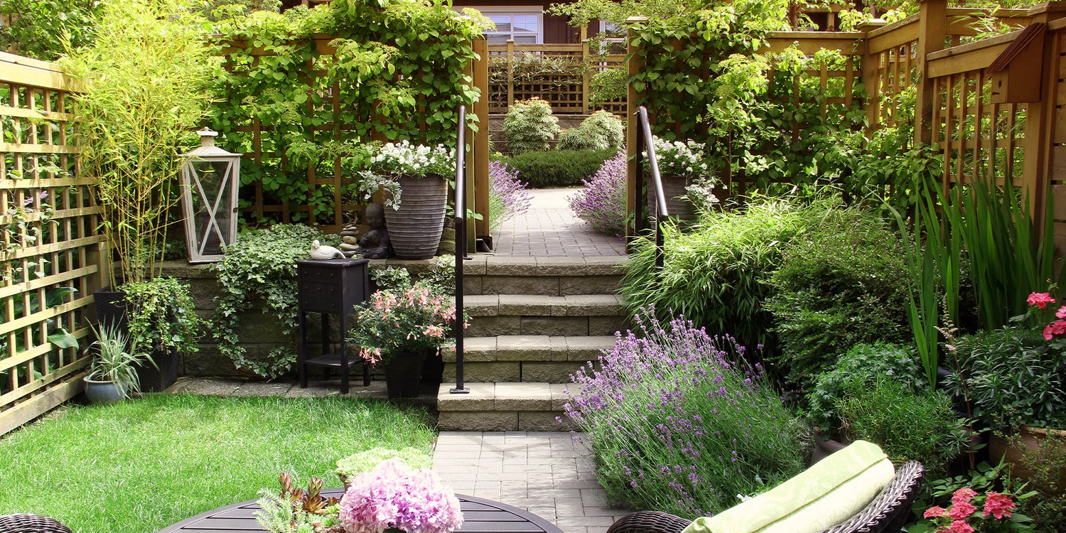 Een makkelijke tuin: de tweede plant met 50% korting