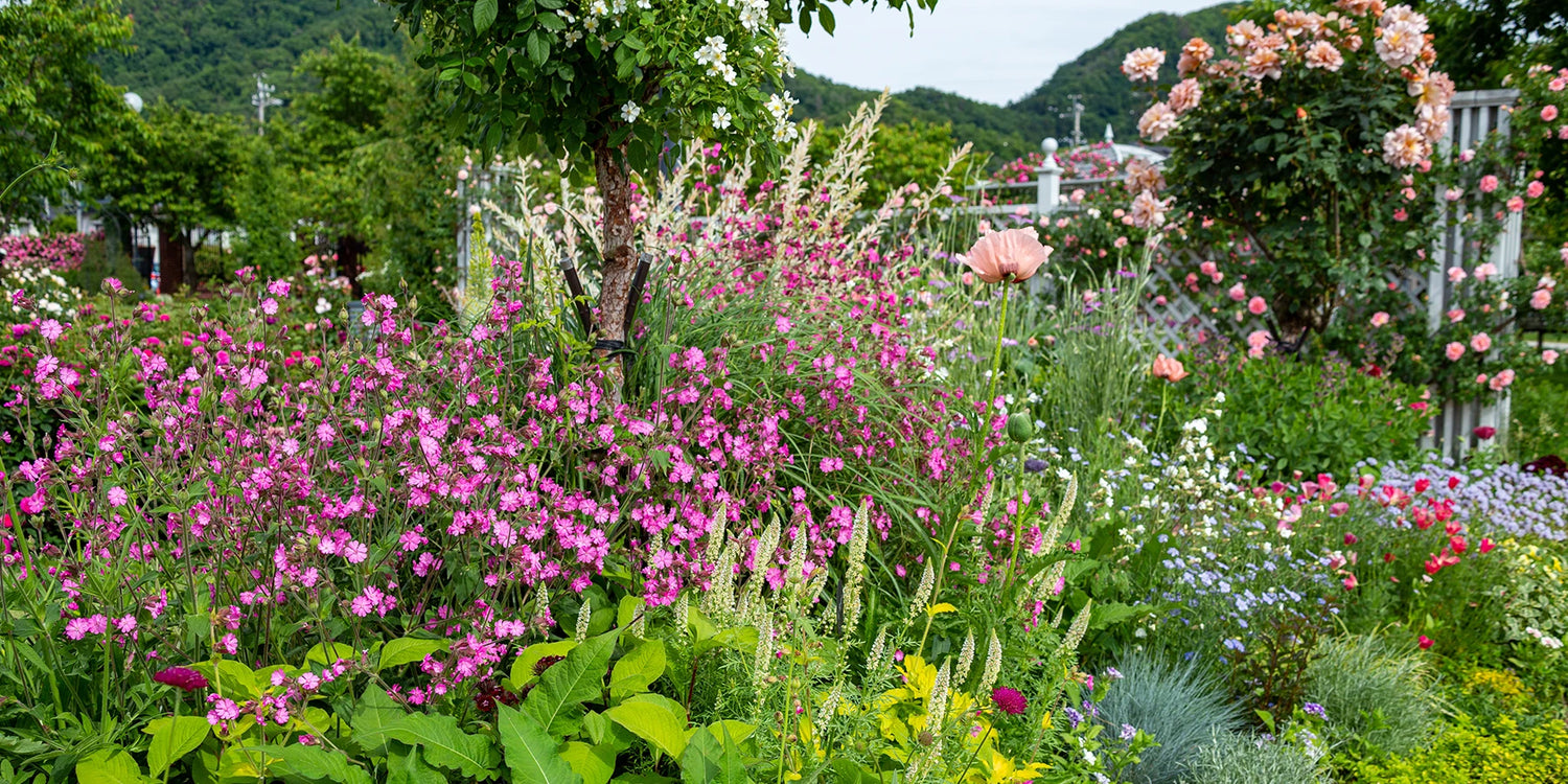 Wild & natuurlijk tot 30% korting!