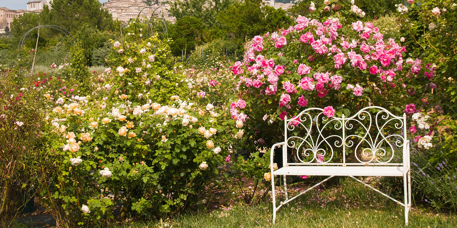 De tijdloze charme van een romantische tuin!
