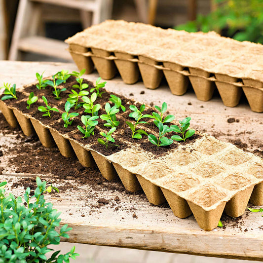 Biologisch afbreekbaar - Moestuin