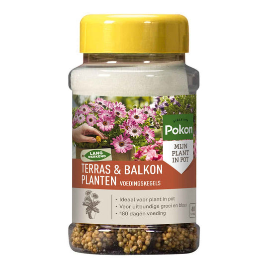 Voedingskegels terras & balkonplanten - Pokon - Bakker