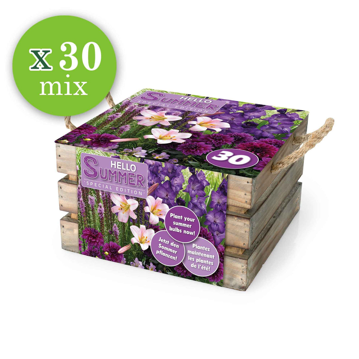 Bloembollen - Mix 'Hello Summer!' (x30) - Dahlia, lilium, gladiolus, liatris - Bakker