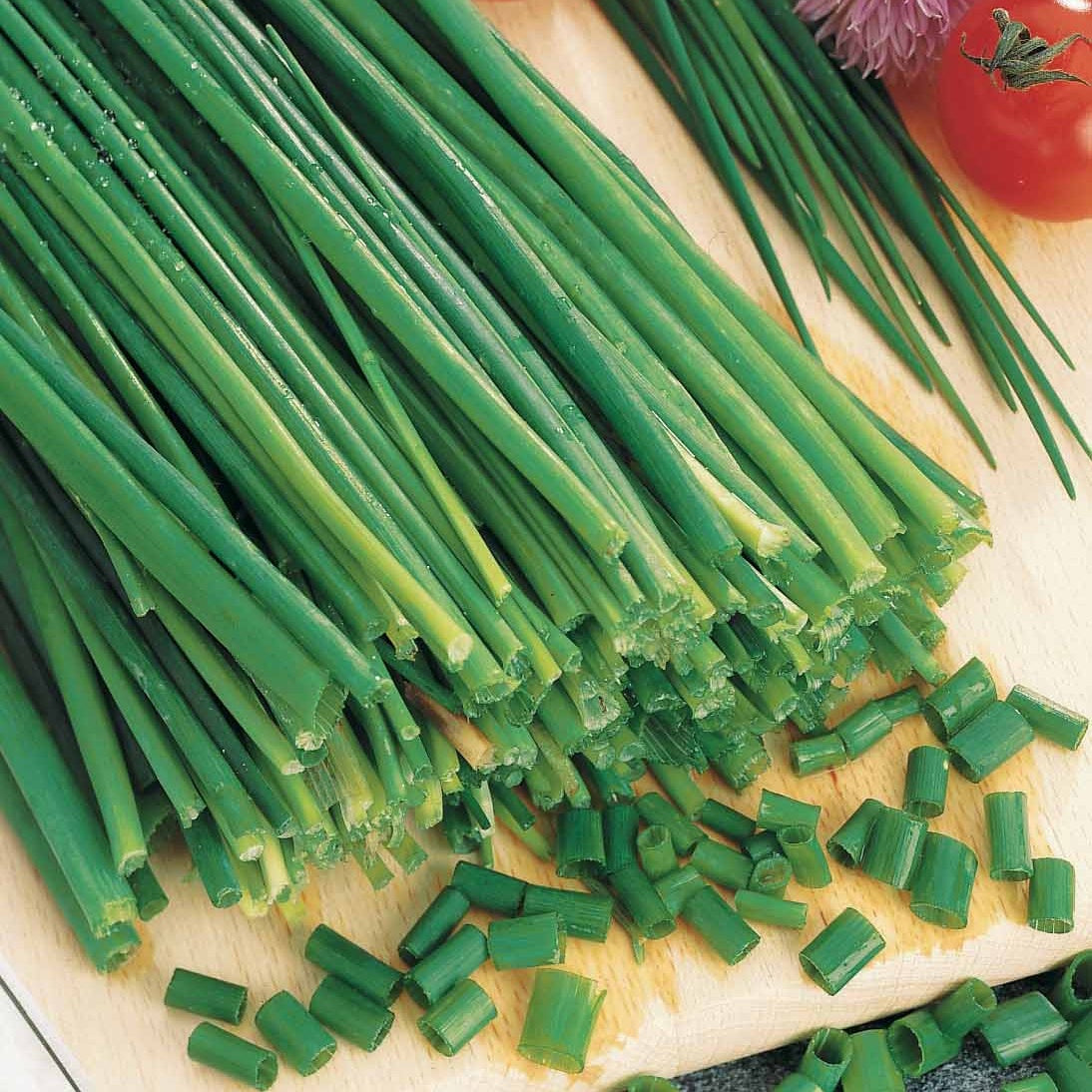 Verkoop Zakje bieslook zaden - Allium schoenoprasum