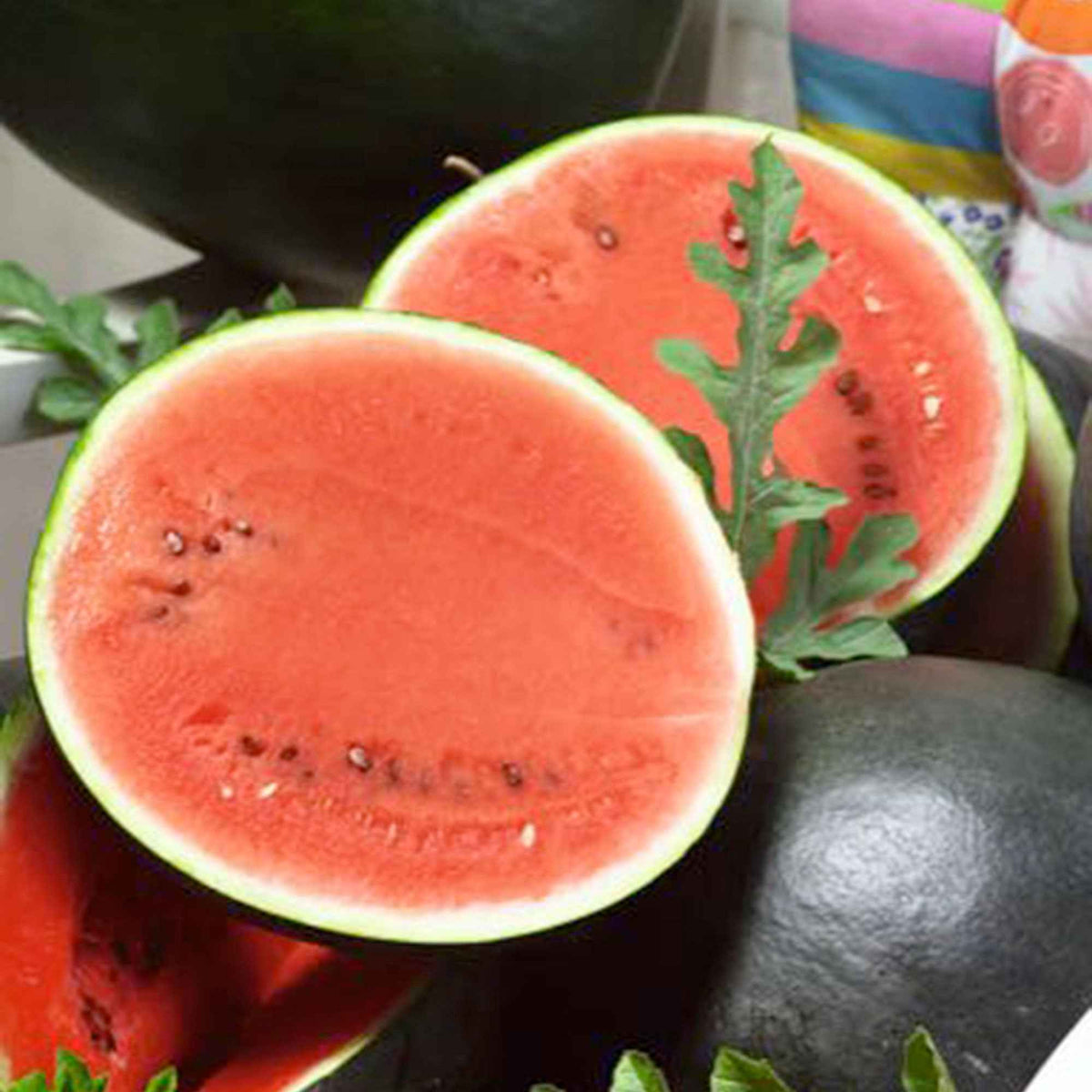 Watermeloen 'Sugar Baby' - Bakker