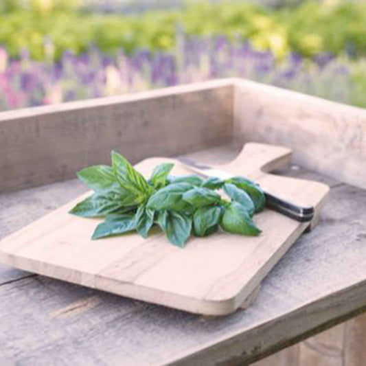 Basilicum 'Italiano Classico' - Bakker