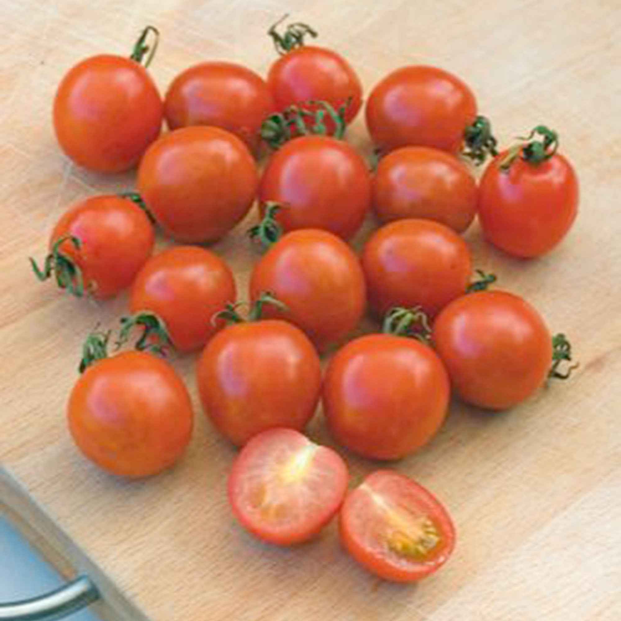 Zaden Cherrytomaat 'Koralik' - Solanum lycopersicum 'koralik