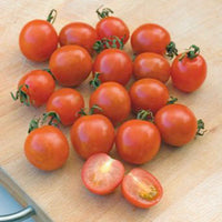 Cherrytomaat 'Koralik' - Solanum lycopersicum 'koralik' - Zaden