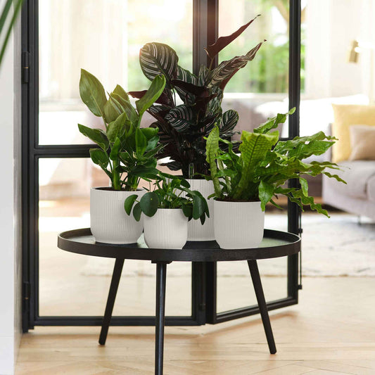 Bloempot Elho vibes fold zijdewit - Bakker