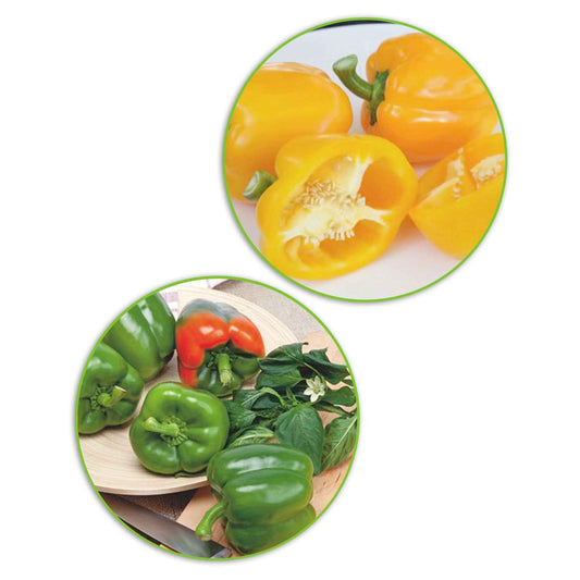 Paprika pakket Capsicum 'Plezierige Paprika' - Biologisch 10 m² - Groentezaden - Bakker