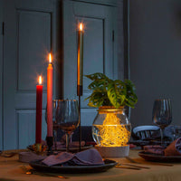 Kamerplantencombinaties - Hydro bolglas + LED verlichting - 