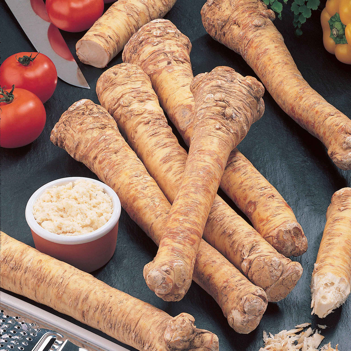 Moestuinzaden - Mierikswortel - Armoracia rusticana