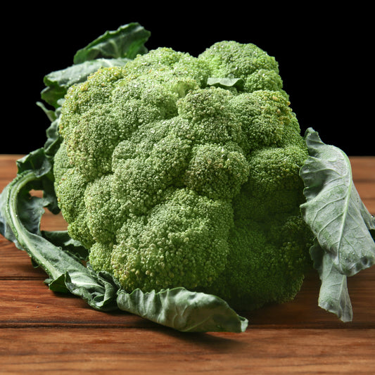 Broccoli 'Calabrese Natalino' - Bakker