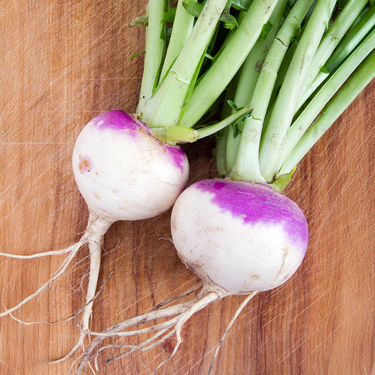 Raap 'd'Auvergne Tardive' - Bakker