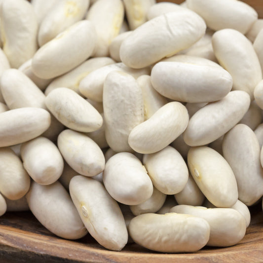 Droogboon 'Mäis type Tarbais' - Bakker