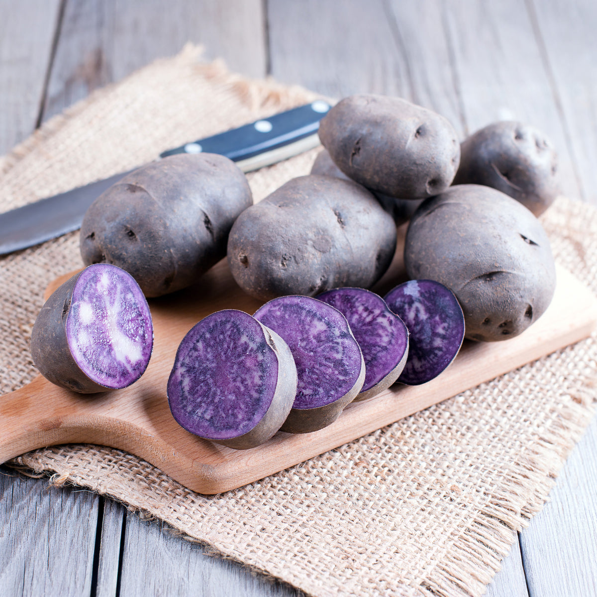 Solanum tuberosum bleue d'artois ® (bleue de la man - Aardappel 'Bleue de la Manche' (x10) - Aardappelplanten