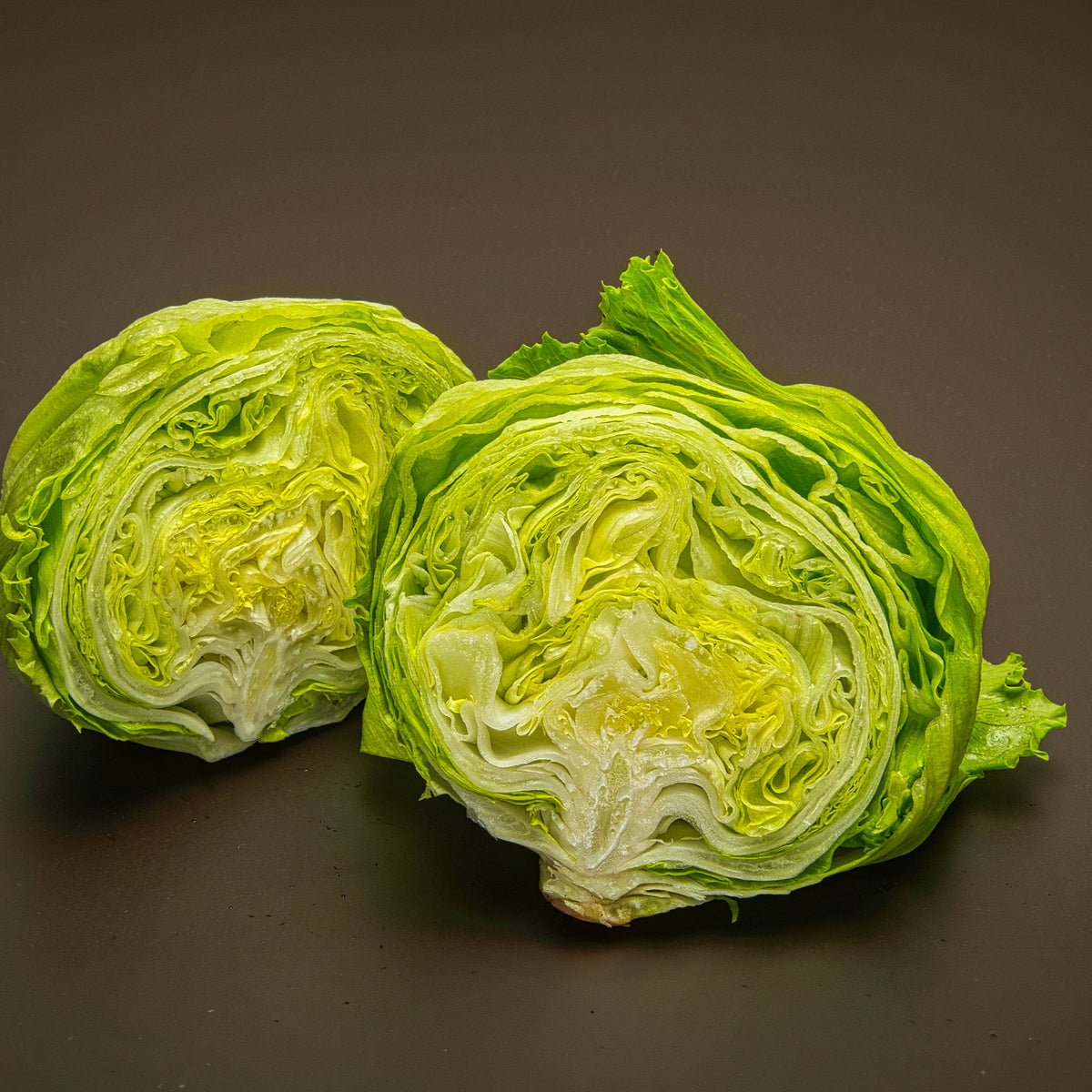 IJsbergsla Batavia Great Lakes - Lactuca sativa capitata great lakes 659 - Bakker