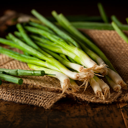 Grof bieslook 'Ishikura Long White' - Bakker